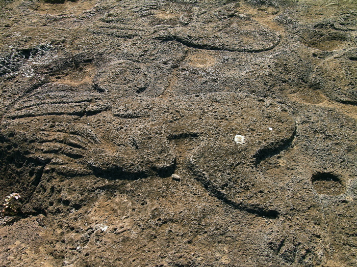 pétroglyphe : Homme-Oiseau